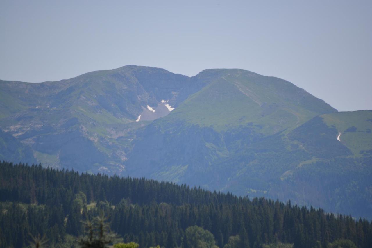 Osada Witow - Dom "Milosna Gorska" ภายนอก รูปภาพ